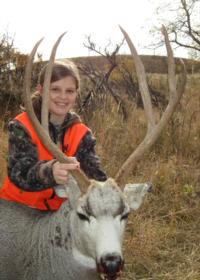 Wyoming Mule Deer | North Central Wyoming