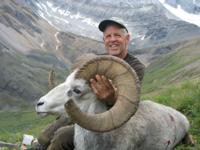 British Columbia Stone Sheep