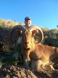 Free Range Texas Aoudad Sheep