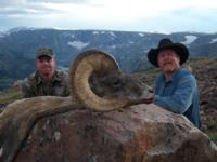 Wyoming Bighorn Sheep | Area 5 & 10