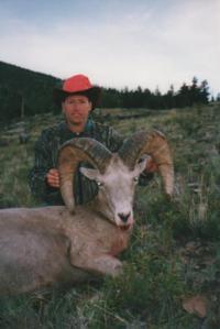 Wyoming Bighorn Sheep | Area 5 & 10