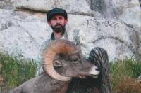 Wyoming Bighorn Sheep | Area 5 & 10