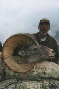 Wyoming Bighorn Sheep | Area 5 & 10