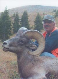 Wyoming Bighorn Sheep | Area 5 & 10