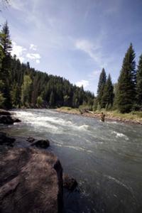 CO Merriam's and Fly Fishing