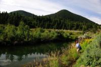 CO Merriam's and Fly Fishing