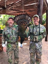 Ocellated Wild Turkey | Yucatan Mexico