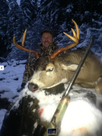 Alaskan Sitka Blacktail Deer