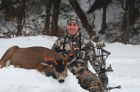 Alaskan Sitka Blacktail Deer