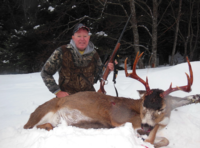 Alaskan Sitka Blacktail Deer