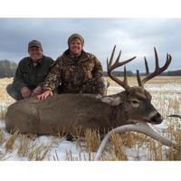 Alberta Whitetails