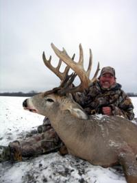 Alberta Whitetails