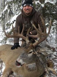 Alberta Whitetails