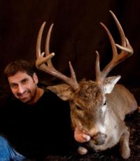 Alberta Whitetails