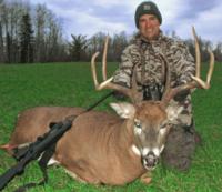 Alberta Whitetails