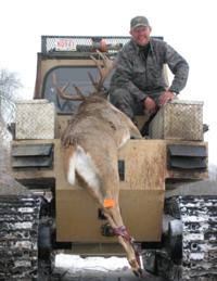 Alberta Whitetails