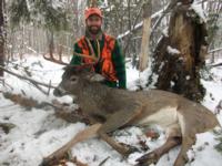 Maine Whitetails