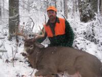 Maine Whitetails