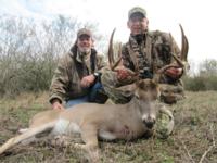 South Texas Whitetails