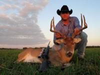 South Texas Whitetails