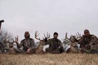 South Texas Whitetails