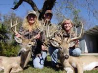 South Texas Whitetails