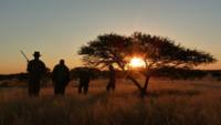 Karreekloof South African Safari