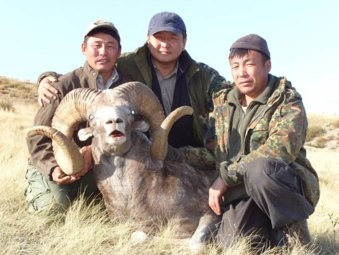 Mongolia | Alti, Hangay & Gobi Argali and Altay & Gobi Ibex