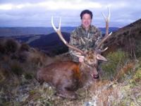 New Zealand | Stag, Tahr, & Chamois