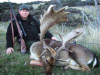 New Zealand | Stag, Tahr, & Chamois
