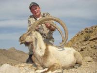 Pakistan | Blanford Urial & Sind Ibex