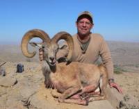 Pakistan | Blanford Urial & Sind Ibex