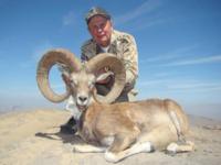 Pakistan | Blanford Urial & Sind Ibex