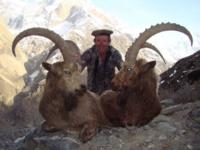 Pakistan | Himalayan Ibex