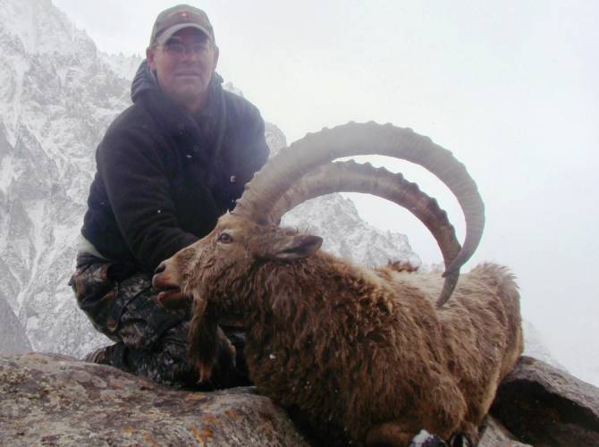 Pakistan | Himalayan Ibex