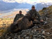 New Zealand | South Island | Stag, Tahr & Chamois