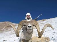 Tajikistan | Marco Polo & Mid Asian Ibex