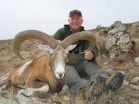Turkey | Bezoar Ibex, Chamois, Red Deer, & Konya Sheep