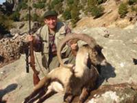 Turkey | Bezoar Ibex, Chamois, Red Deer, & Konya Sheep
