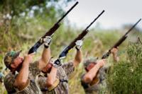 Argentina Dove