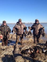 Arkansas Ducks