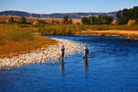 Colorado Pheasants & Quail