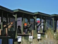 Colorado Pheasants & Quail