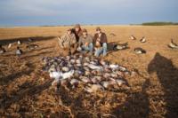 Saskatchewan High Volume Wingshooting | Ducks, Cranes, Geese, & Snows