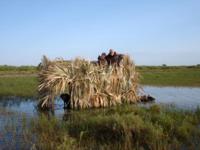 South Texas Dove & Duck