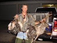 South Texas Dove & Duck