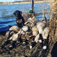 Southeastern Kansas Ducks | Option #2